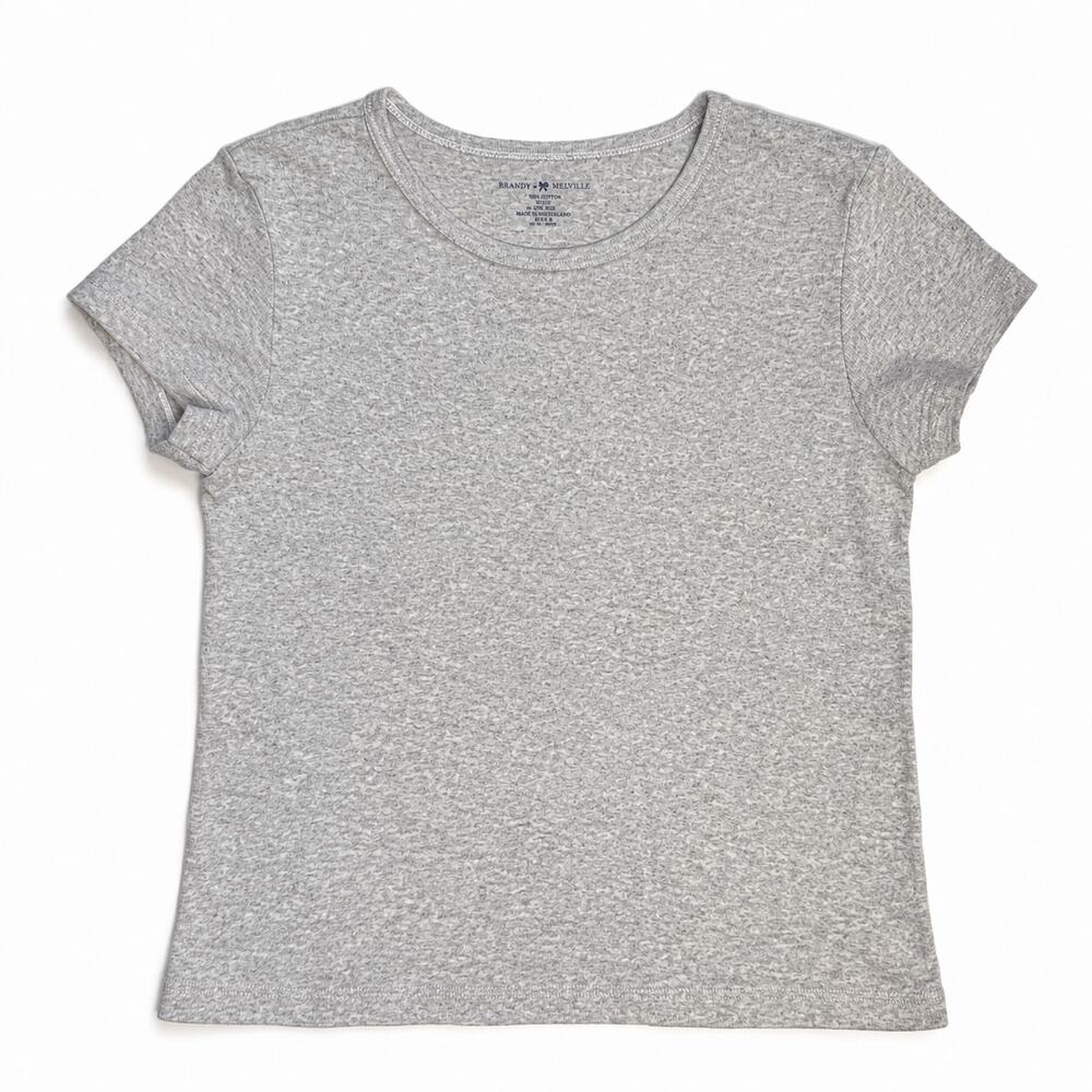 Brandy Melville Gray Cotton Crewneck T-Shirt
